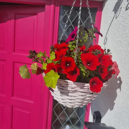 The Pink Door Homestay Killala