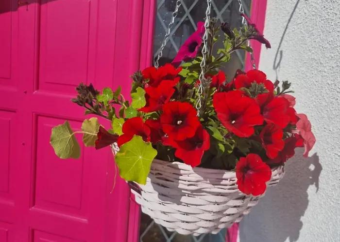 The Pink Door Accommodatie bij particulieren Killala